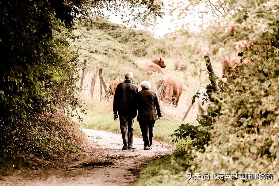 私生子可以分家产吗（有关婚外生子分家产的法律规定）