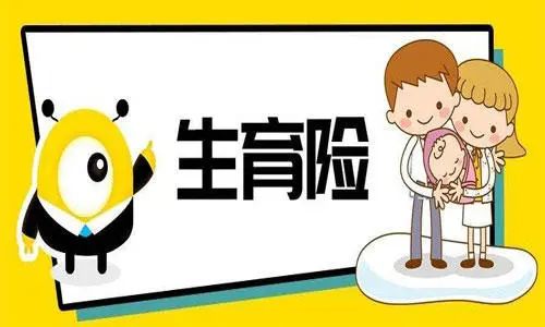 生育险报销条件是什么（生育险报销标准）