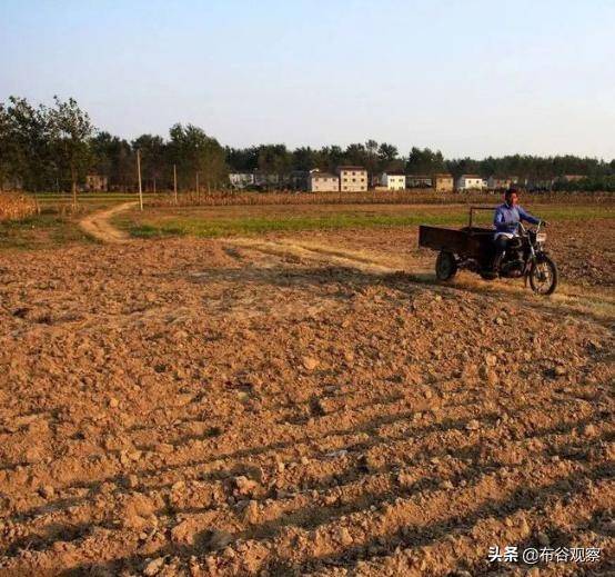 已经确权的宅基地还能争议吗（关于闲置宅基地的相关规定）