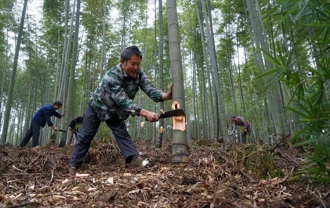 农村土地承包纠纷司法解释（民法典关于房屋确权纠纷）