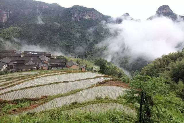 耕地的承包期为多少年（土地承包经营权期限）