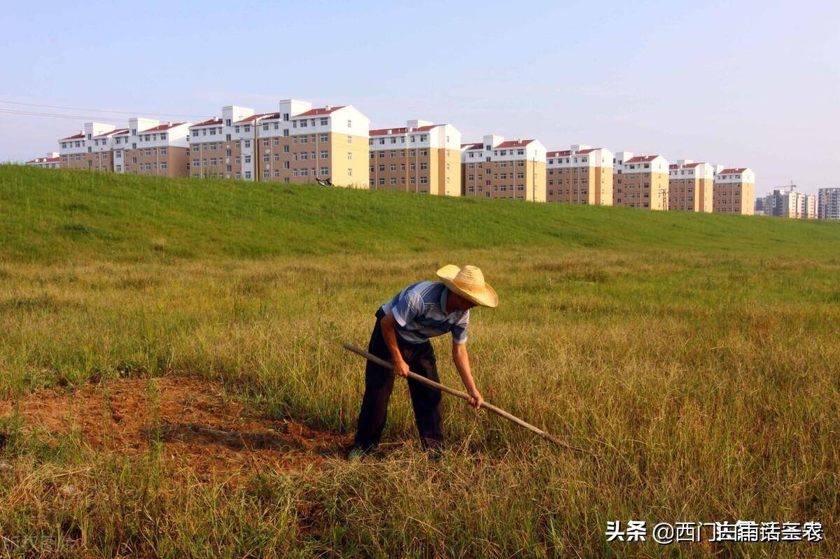 农村土地征收补偿法律法规（农民失地补偿最新政策）