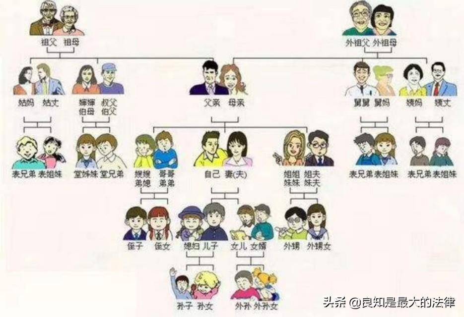 三代以内旁系血亲包括哪些人（民法典旁系亲属包括范围）