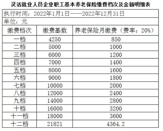 2022养老保险缴费标准（保险缴费档次一览表）