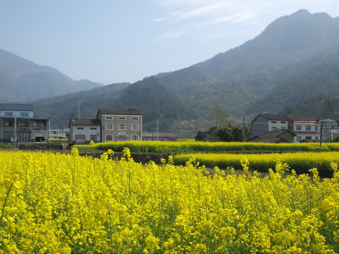 集体土地上房屋征收与补偿条例（关于集体征收最新政策）