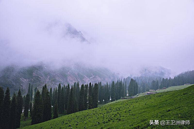 林地征地补偿标准多少钱（宅基地征用补偿新标准）