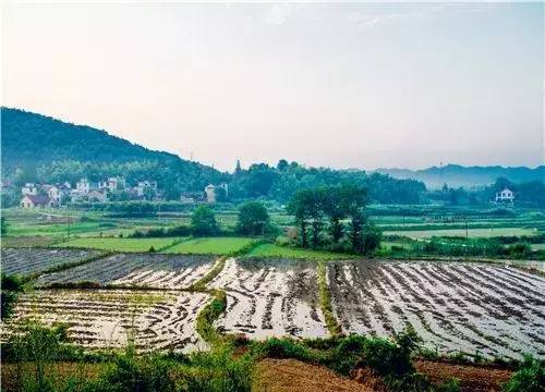 集体土地征收程序步骤（土地征收补偿标准）