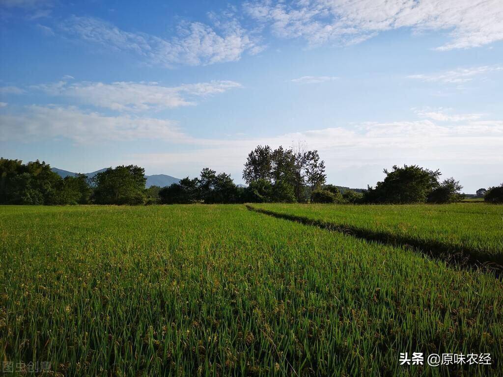 宅基地管理办法是什么（最新土地管理法实施内容）