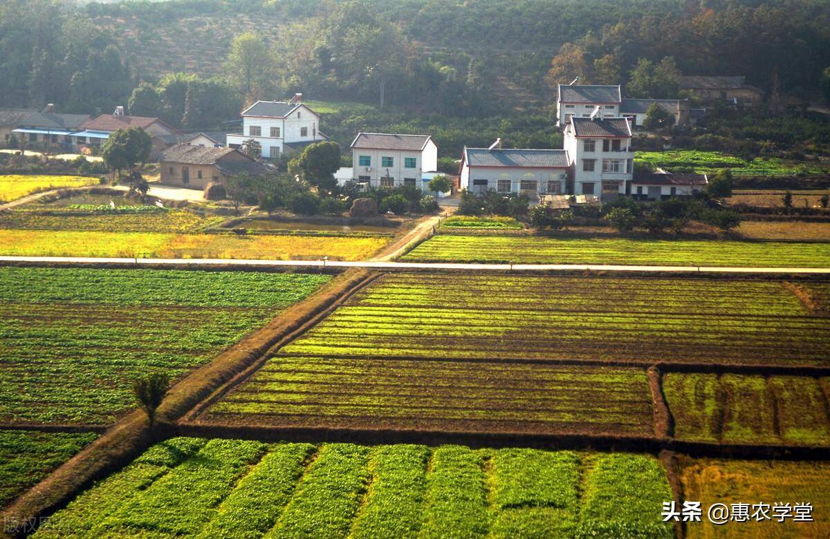 2022年土地补偿标准是多少钱（最新农村拆迁补偿明细）