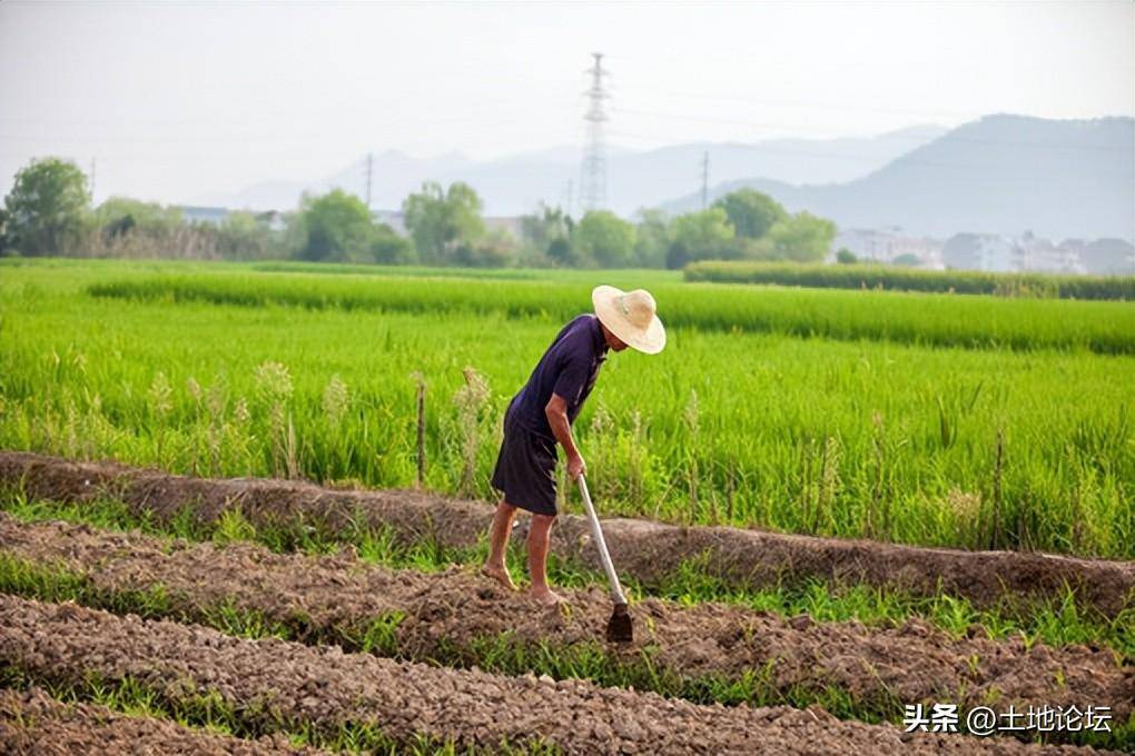 被征地农民社保政策是什么（农村征地养老补偿新规定）