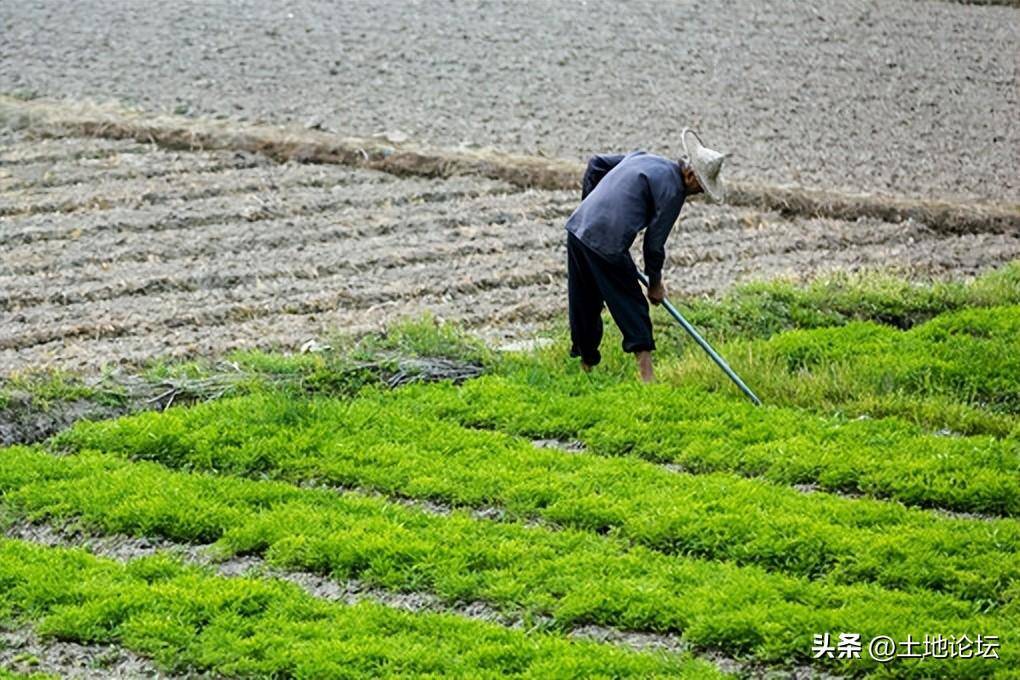 被征地农民社保政策是什么（农村征地养老补偿新规定）