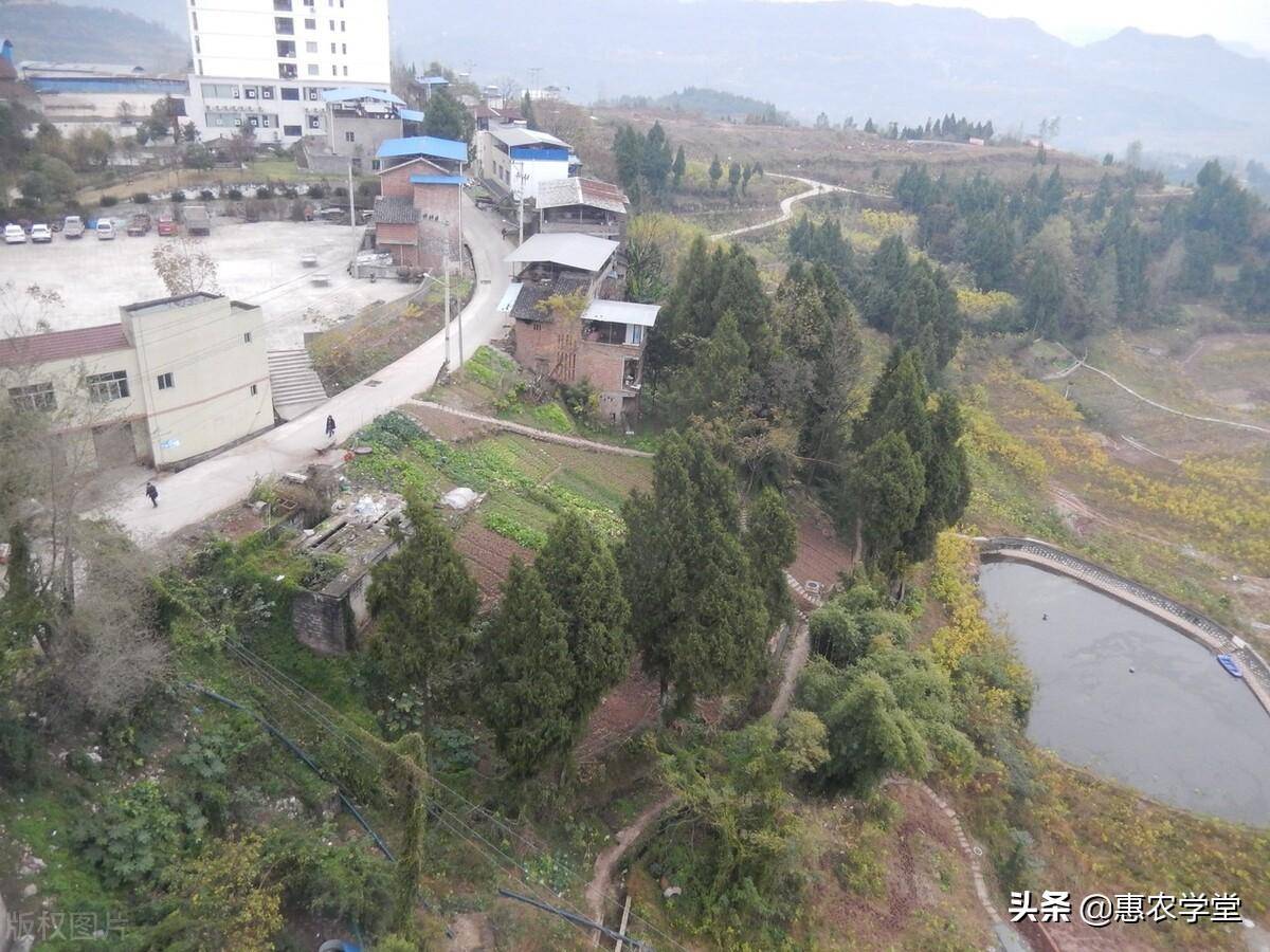 占用农村土地每亩赔偿多少钱（农村征地安置补偿标准）