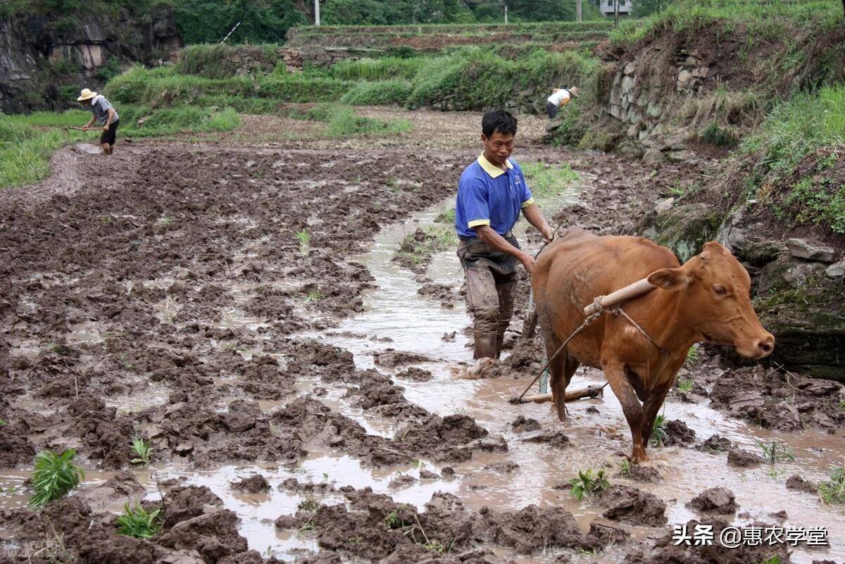 占用农村土地每亩赔偿多少钱（农村征地安置补偿标准）