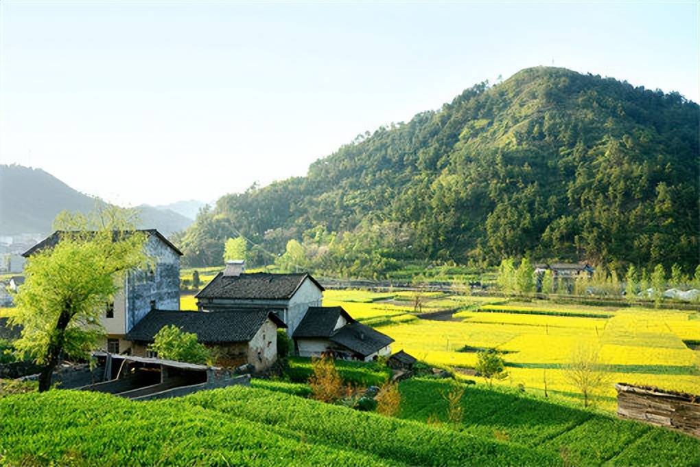 土地法规定宅基地面积（最新农村宅基地测量标准）