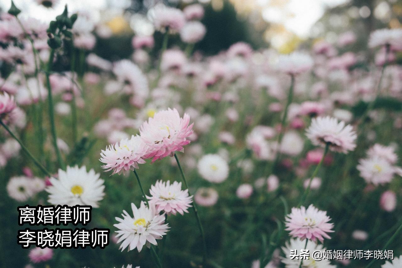 委托律师办离婚要多少钱（请律师代理离婚案收费标准）