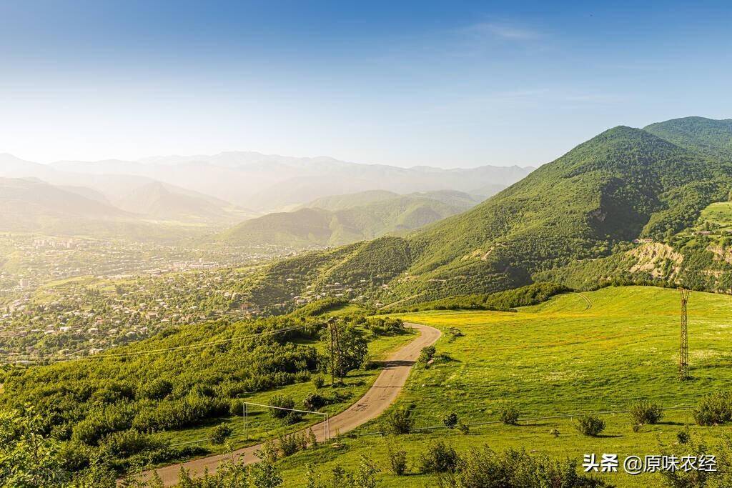 农村宅基地是怎么规定的（民法典农村宅基地拆迁赔偿）