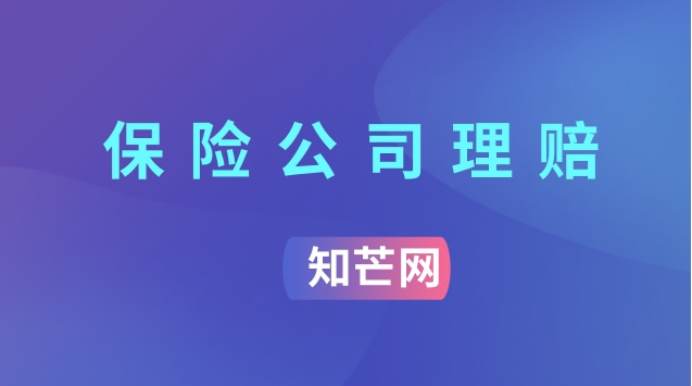 保险公司理赔的标准是什么？