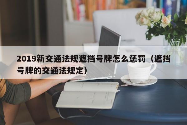 2019新交通法规遮挡号牌怎么惩罚（遮挡号牌的交通法规定）