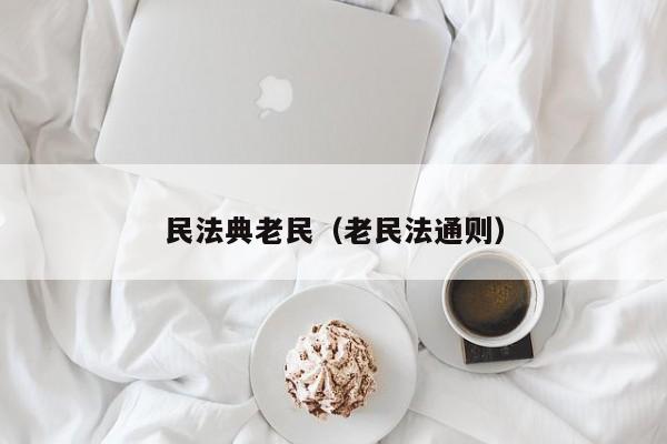 民法典老民（老民法通则）