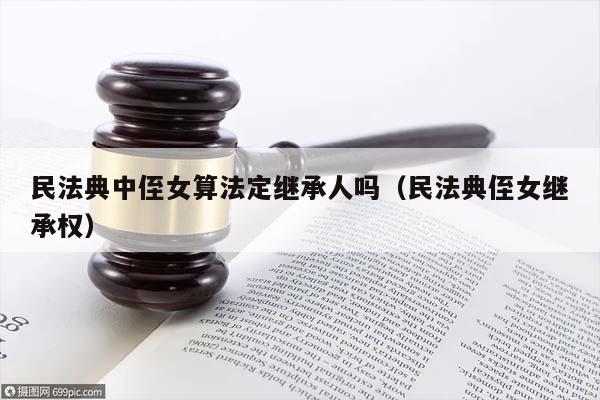 民法典中侄女算法定继承人吗（民法典侄女继承权）