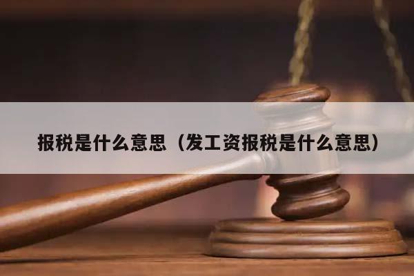 报税是什么意思（发工资报税是什么意思）