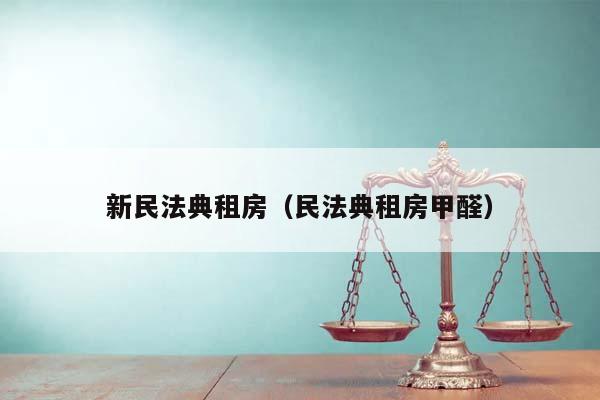 新民法典租房（民法典租房甲醛）