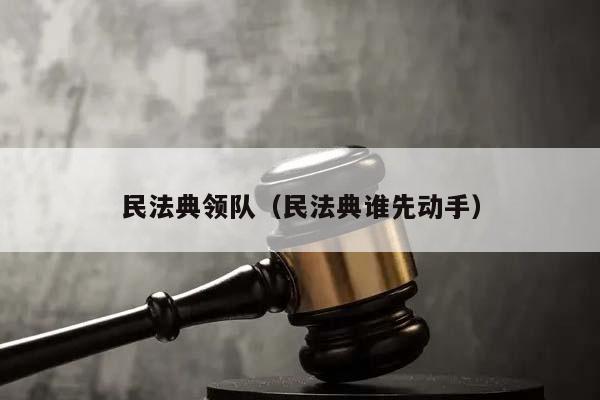 民法典领队（民法典谁先动手）