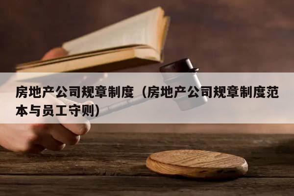房地产公司规章制度（房地产公司规章制度范本与员工守则）