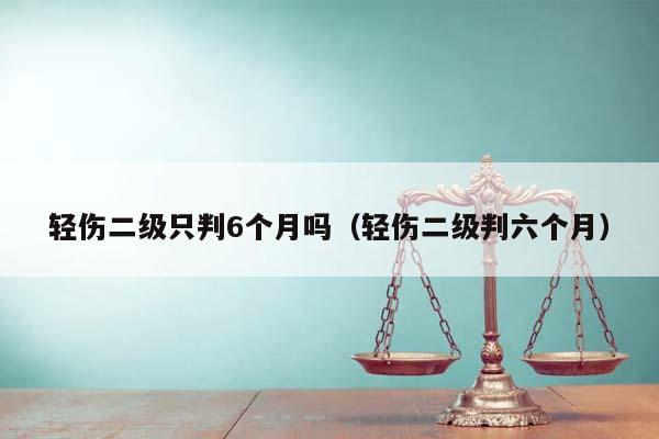 轻伤二级只判6个月吗（轻伤二级判六个月）