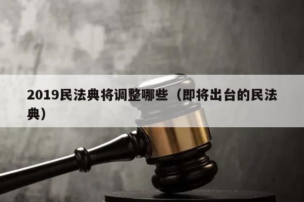 2019民法典将调整哪些（即将出台的民法典）
