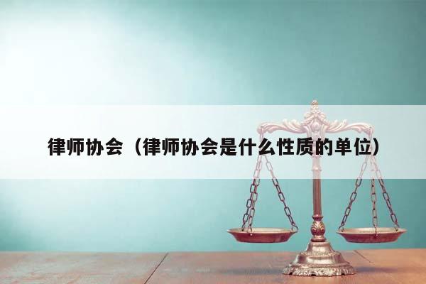律师协会（律师协会是什么性质的单位）