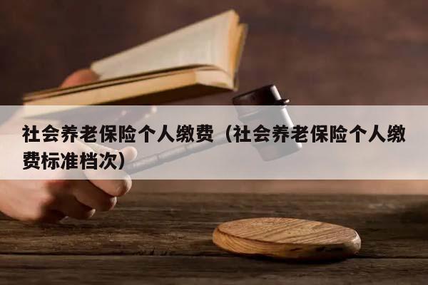 社会养老保险个人缴费（社会养老保险个人缴费标准档次）